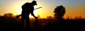 Pheasant Hunts