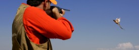 Utah Pheasant Hunts